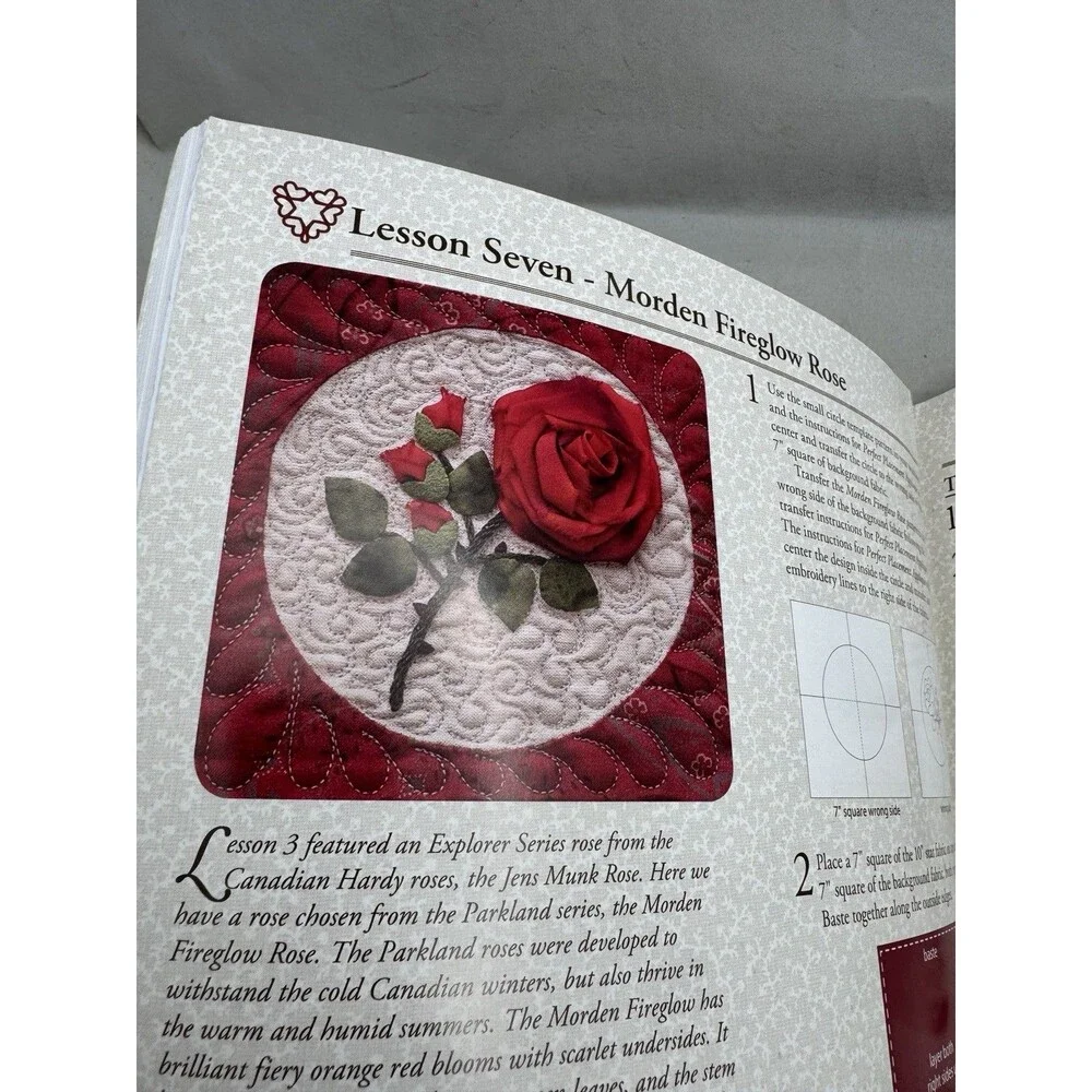 Needle Grace Jan Vaine Cloth Ribbon Thread Pattern Book Classroom Pincher Creek